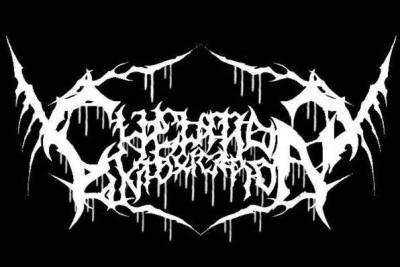 logo Chelation Intoxication